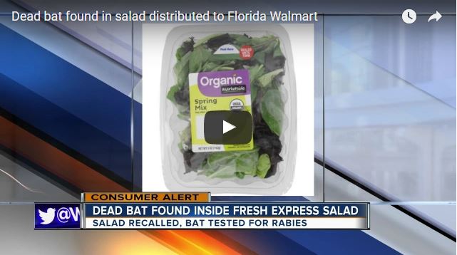Finds Unpleasant Surprise in Salad