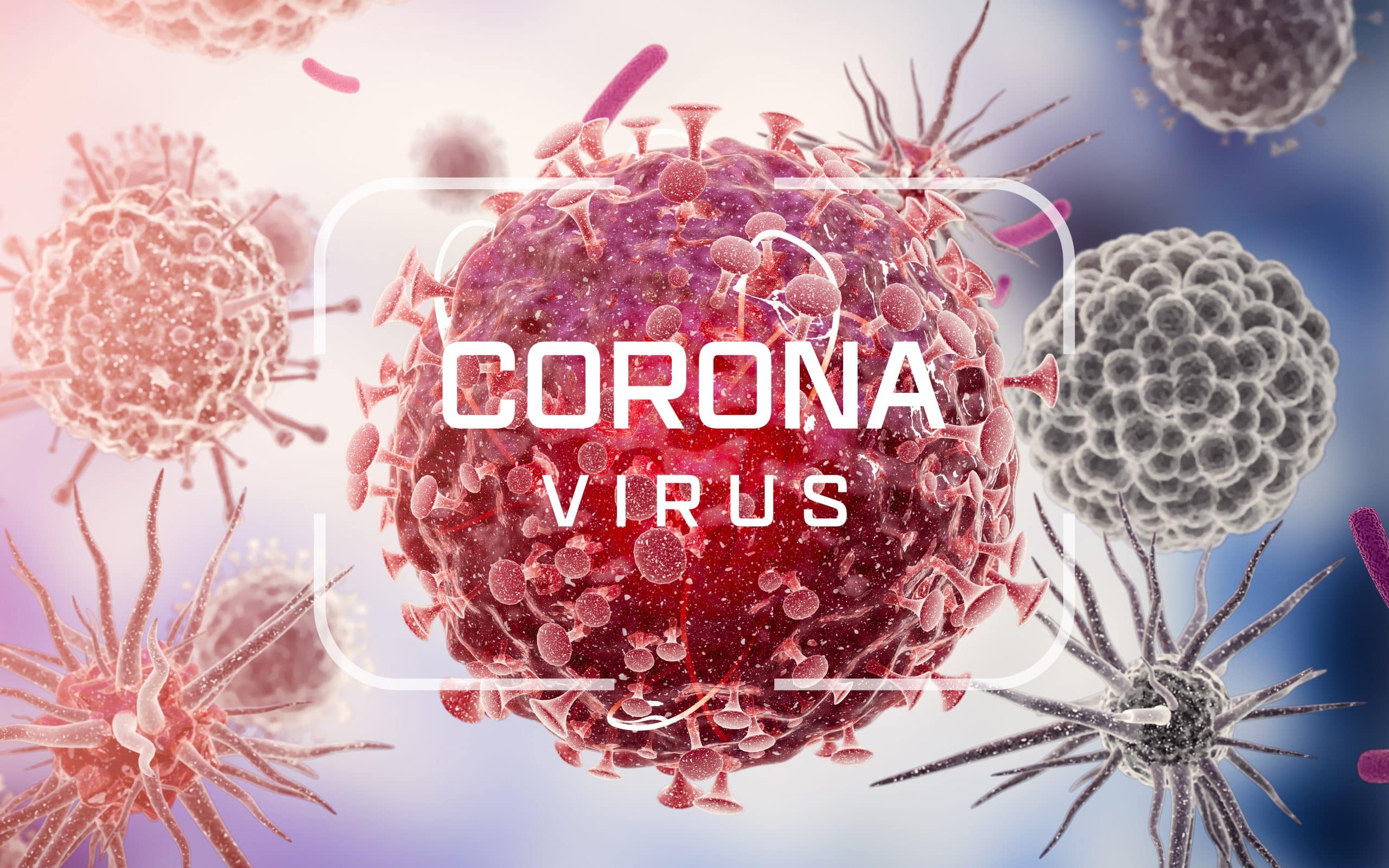 Picture of the Coronavirus